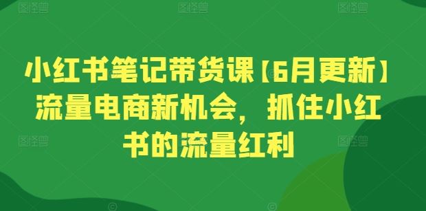 小红书笔记带货课【6月更新】流量电商新机会，抓住小红书的流量红利-柠檬网创