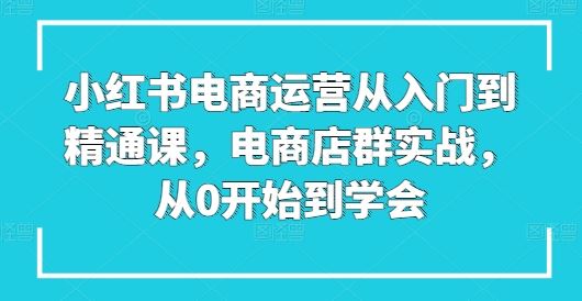 小红书电商运营从入门到精通课，电商店群实战，从0开始到学会-柠檬网创