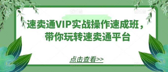 速卖通VIP实战操作速成班，带你玩转速卖通平台-柠檬网创