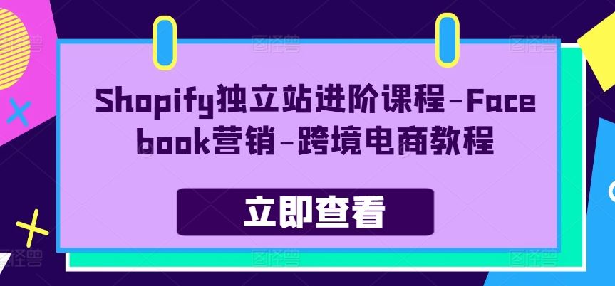 Shopify独立站进阶课程-Facebook营销-跨境电商教程-柠檬网创