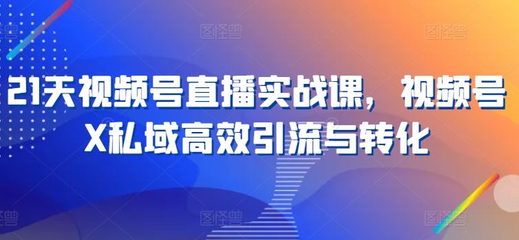 21天视频号直播实战课，视频号X私域高效引流与转化-柠檬网创