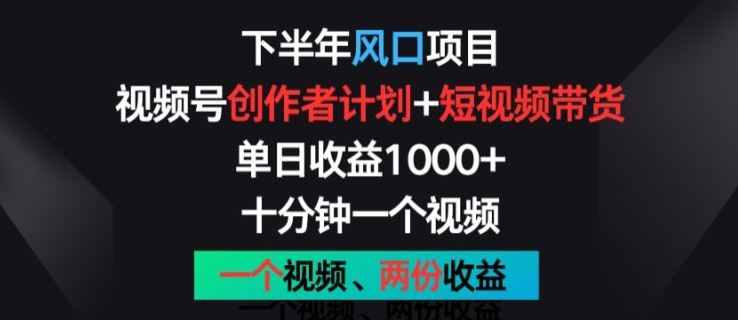 下半年风口项目，视频号创作者计划+视频带货，一个视频两份收益，十分钟一个视频【揭秘】-柠檬网创