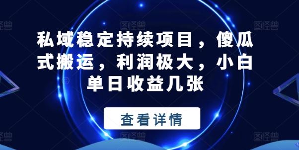 私域稳定持续项目，傻瓜式搬运，利润极大，小白单日收益几张【揭秘】-柠檬网创