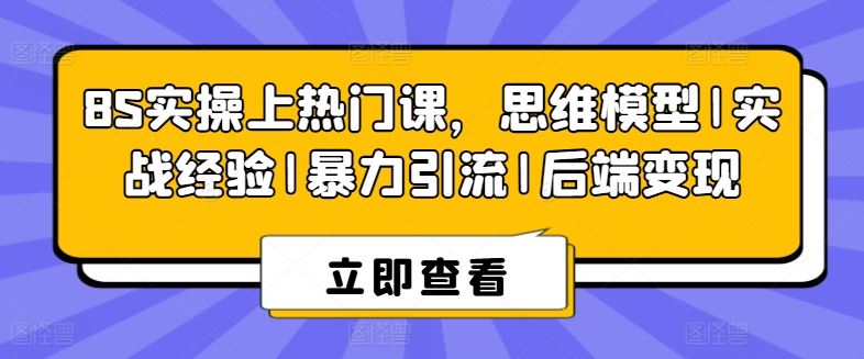 8S实操上热门课，思维模型|实战经验|暴力引流|后端变现-柠檬网创