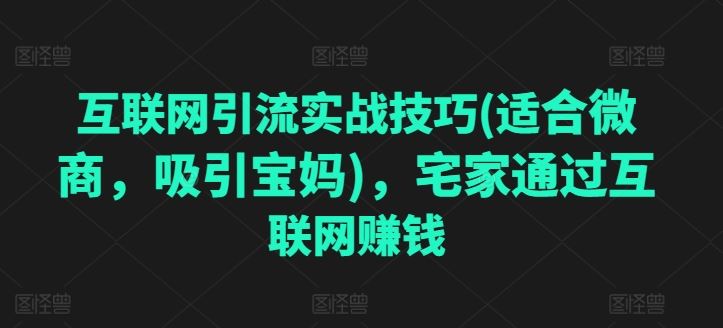 互联网引流实战技巧(适合微商，吸引宝妈)，宅家通过互联网赚钱-柠檬网创