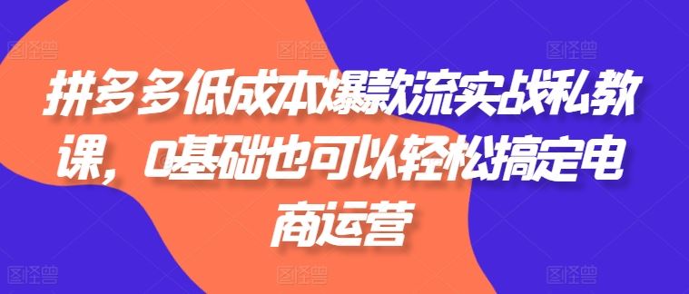 拼多多低成本爆款流实战私教课，0基础也可以轻松搞定电商运营-柠檬网创