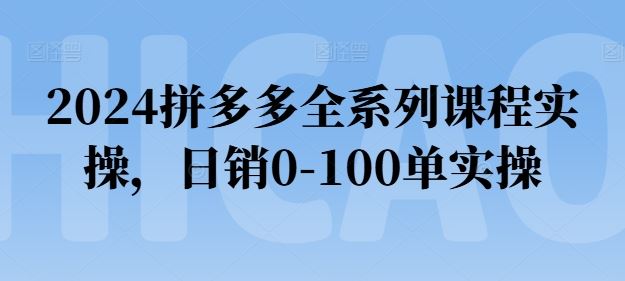 2024拼多多全系列课程实操，日销0-100单实操【必看】-柠檬网创