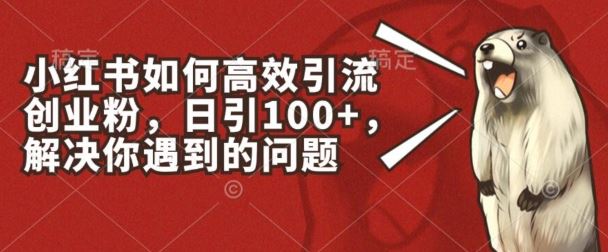 小红书如何高效引流创业粉，日引100+，解决你遇到的问题【揭秘】-柠檬网创