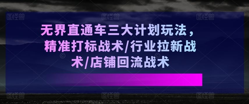 无界直通车三大计划玩法，精准打标战术/行业拉新战术/店铺回流战术-柠檬网创