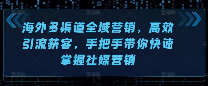 海外多渠道全域营销，高效引流获客，手把手带你快速掌握社媒营销-柠檬网创