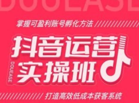 抖音运营实操班，掌握可盈利账号孵化方法，打造高效低成本获客系统-柠檬网创