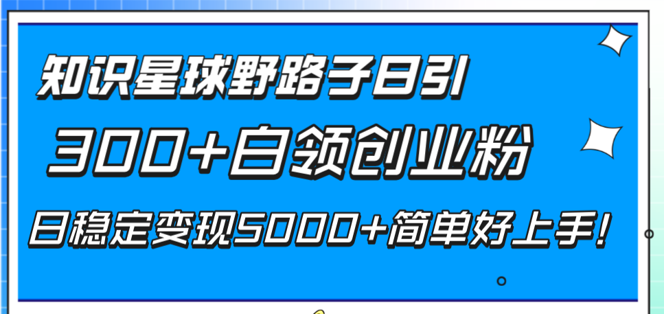 （8315期）知识星球野路子日引300+白领创业粉，日稳定变现5000+简单好上手！-柠檬网创