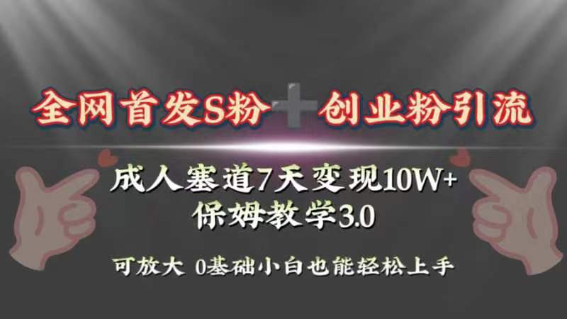 （8337期）全网首发s粉加创业粉引流变现，成人用品赛道7天变现10w+保姆教学3.0-柠檬网创