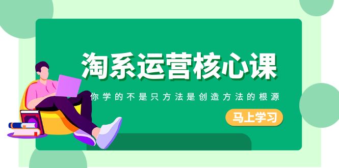 （8392期）淘系-运营核心课，你学的不是只方法是创造方法的根源（190节课）-柠檬网创