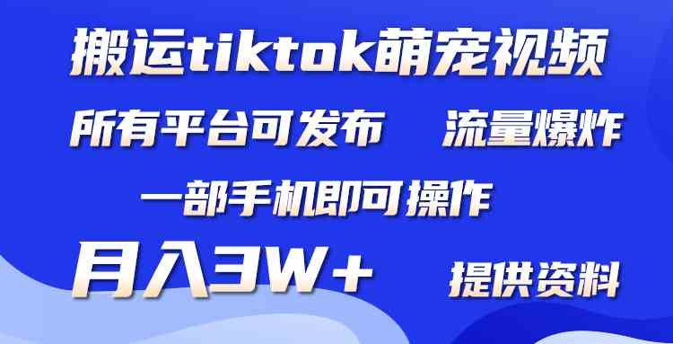 （9618期）搬运Tiktok萌宠类视频，一部手机即可。所有短视频平台均可操作，月入3W+-柠檬网创