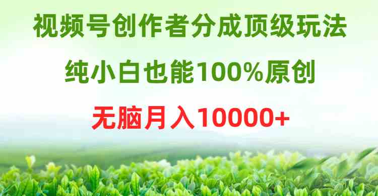 （9608期）视频号创作者分成顶级玩法，纯小白也能100%原创，无脑月入10000+-柠檬网创