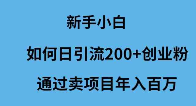 （9668期）新手小白如何日引流200+创业粉通过卖项目年入百万-柠檬网创