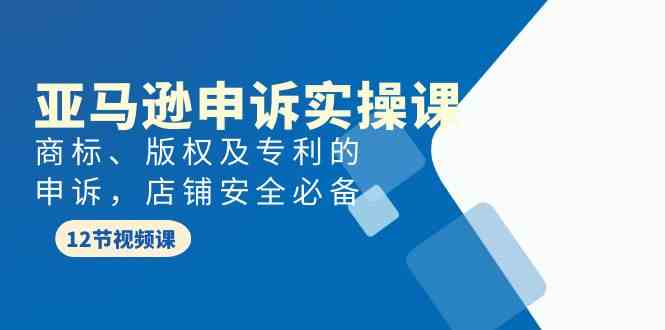 （9754期）亚马逊-申诉实战课，​商标、版权及专利的申诉，店铺安全必备-柠檬网创
