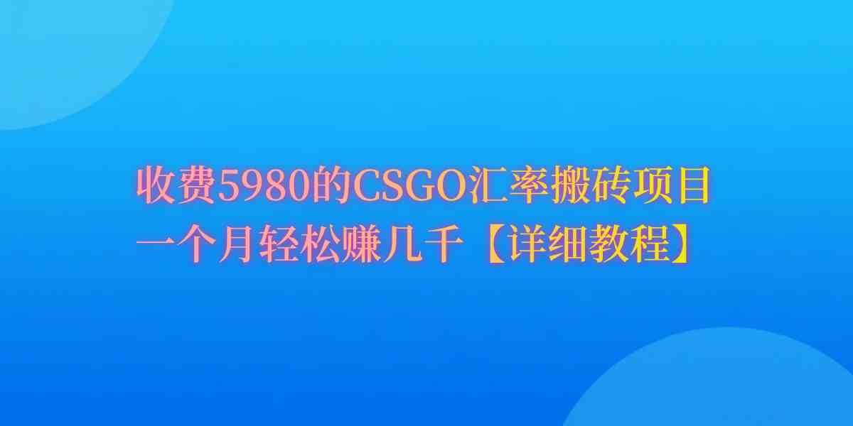 （9776期）CSGO装备搬砖，月综合收益率高达60%，你也可以！-柠檬网创