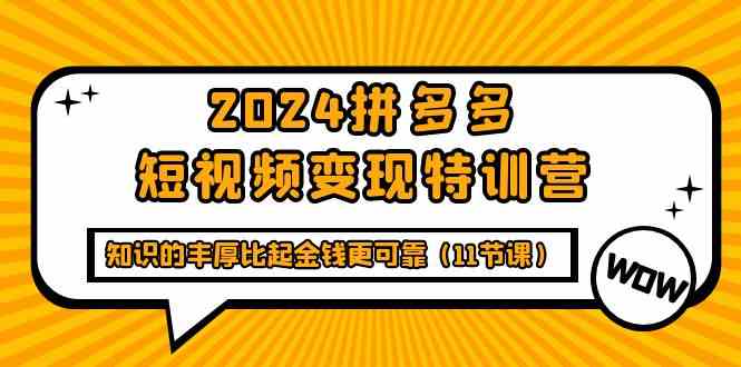 （9817期）2024拼多多短视频变现特训营，知识的丰厚比起金钱更可靠（11节课）-柠檬网创