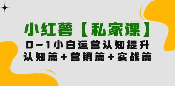 （9910期）小红薯【私家课】0-1玩赚小红书内容营销，认知篇+营销篇+实战篇（11节课）-柠檬网创