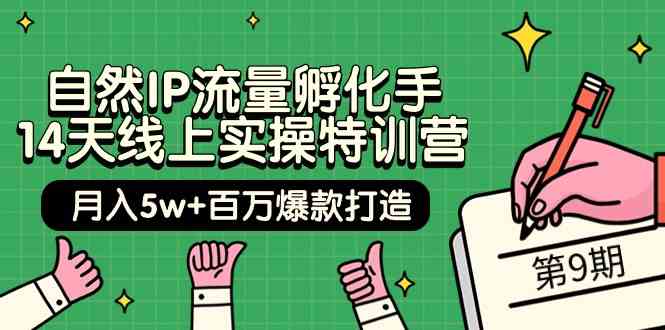 （9881期）自然IP流量孵化手 14天线上实操特训营【第9期】月入5w+百万爆款打造 (74节)-柠檬网创