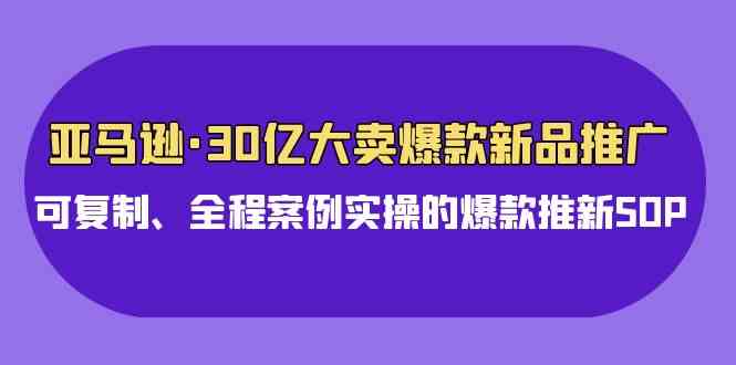 （9944期）亚马逊30亿·大卖爆款新品推广，可复制、全程案例实操的爆款推新SOP-柠檬网创