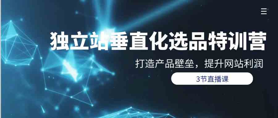 （9925期）独立站-垂直化选品训练营，打造产品壁垒，提升网站利润（3节直播课）-柠檬网创