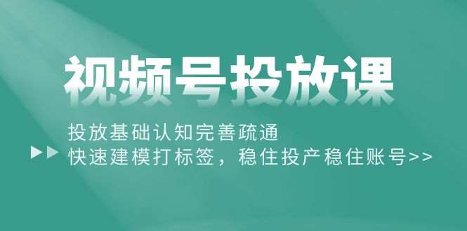 （10205期）视频号投放课：投放基础认知完善疏通，快速建模打标签，稳住投产稳住账号-柠檬网创