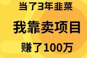 （10149期）当了3年韭菜，我靠卖项目赚了100万-柠檬网创