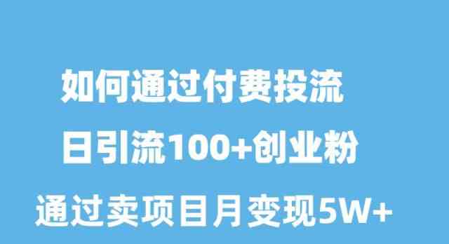 （10189期）如何通过付费投流日引流100+创业粉月变现5W+-柠檬网创