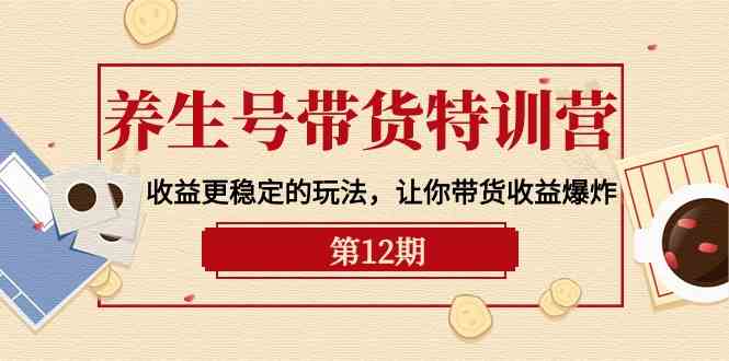 （10110期）养生号带货特训营【12期】收益更稳定的玩法，让你带货收益爆炸-9节直播课-柠檬网创