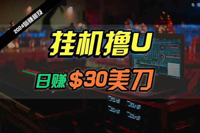 （10013期）日赚30美刀，2024最新海外挂机撸U内部项目，全程无人值守，可批量放大-柠檬网创