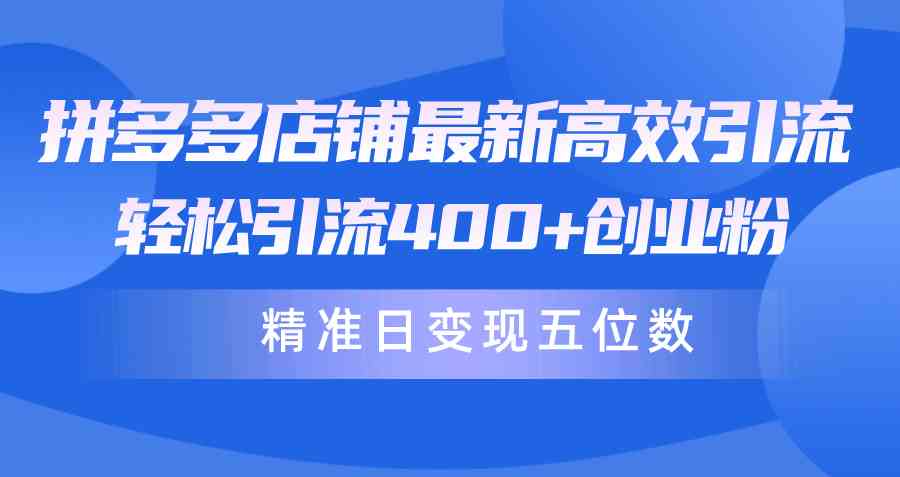 （10041期）拼多多店铺最新高效引流术，轻松引流400+创业粉，精准日变现五位数！-柠檬网创