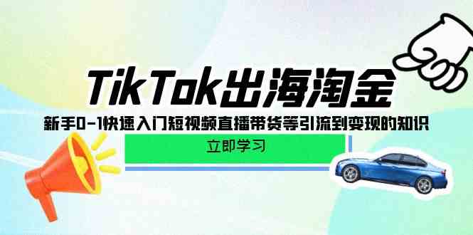 （10035期）TikTok-出海淘金，新手0-1快速入门短视频直播带货等引流到变现的知识-柠檬网创