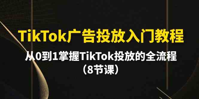 （10085期）TikTok广告投放入门教程，从0到1掌握TikTok投放的全流程（8节课）-柠檬网创