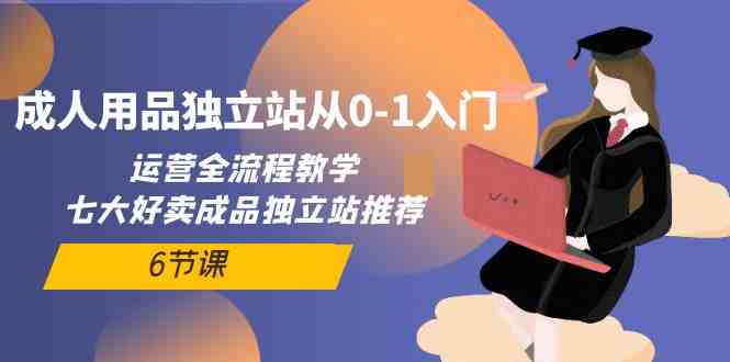 （10082期）成人用品独立站从0-1入门，运营全流程教学，七大好卖成品独立站推荐-6节课-柠檬网创