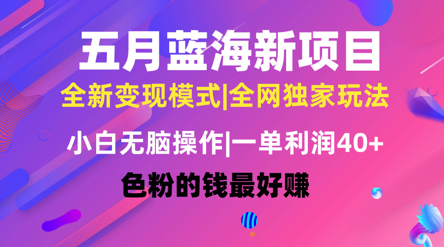 （10477期）五月蓝海项目全新玩法，小白无脑操作，一天几分钟，矩阵操作，月入4万+-柠檬网创