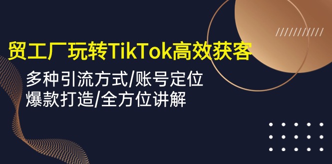 （10302期）外贸工厂玩转TikTok高效获客，多种引流方式/账号定位/爆款打造/全方位讲解-柠檬网创