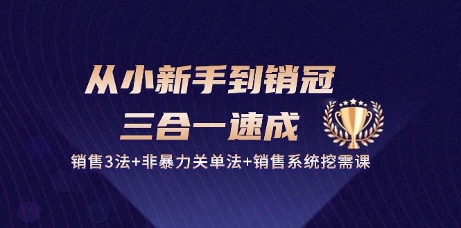（10799期）从小新手到销冠 三合一速成：销售3法+非暴力关单法+销售系统挖需课 (27节)-柠檬网创