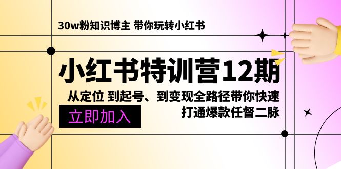 （10666期）小红书特训营12期：从定位 到起号、到变现全路径带你快速打通爆款任督二脉-柠檬网创