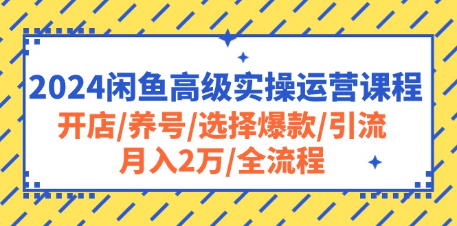 （10711期）2024闲鱼高级实操运营课程：开店/养号/选择爆款/引流/月入2万/全流程-柠檬网创