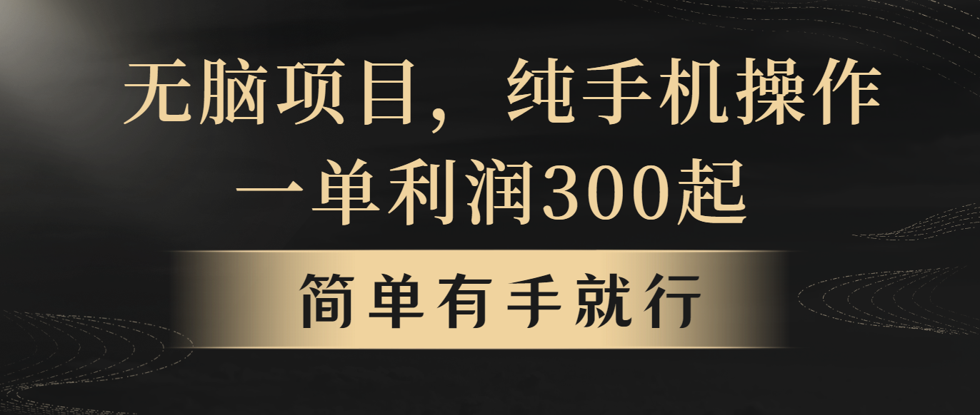 （10699期）无脑项目，一单几百块，轻松月入5w+，看完就能直接操作-柠檬网创