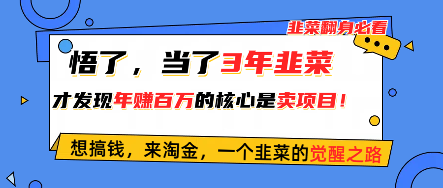 （10759期）悟了，当了3年韭菜，才发现网赚圈年赚100万的核心是卖项目，含泪分享！-柠檬网创