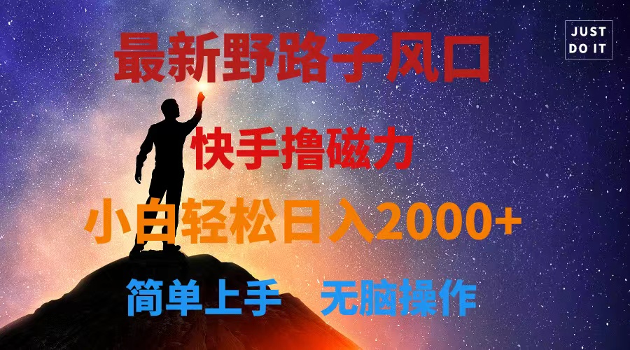 （10754期）最新风口！快手撸磁力，野路子，小白无脑操作日入2000+-柠檬网创