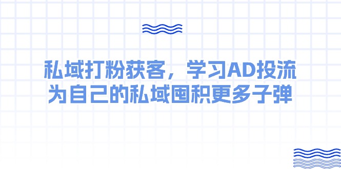 （10728期）某收费课：私域打粉获客，学习AD投流，为自己的私域囤积更多子弹-柠檬网创