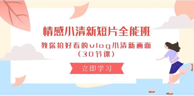 （10567期）情感 小清新短片-全能班，教你拍好看的vlog小清新画面 (30节课)-柠檬网创