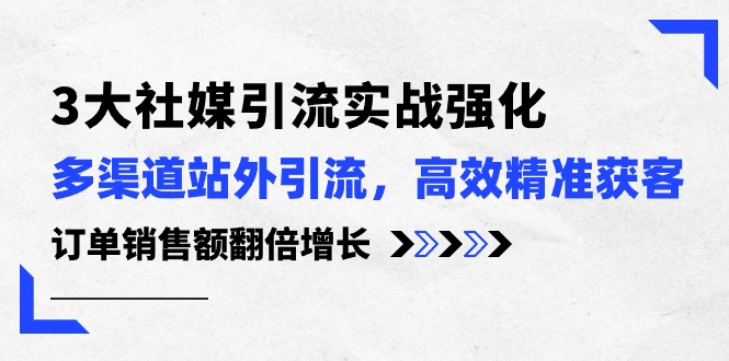 （10563期）3大社媒引流实操强化，多渠道站外引流/高效精准获客/订单销售额翻倍增长-柠檬网创
