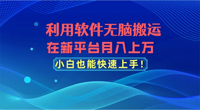 （11078期）利用软件无脑搬运，在新平台月入上万，小白也能快速上手-柠檬网创