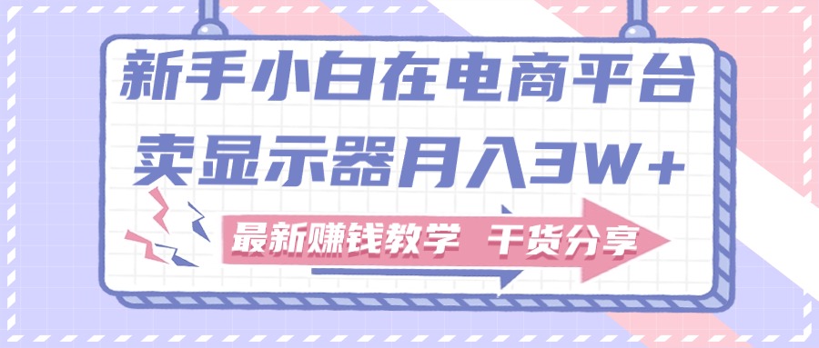 （11053期）新手小白如何做到在电商平台卖显示器月入3W+，最新赚钱教学干货分享-柠檬网创